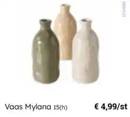 Multi bazar Vaas Mylana aanbieding