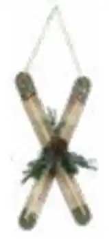 Multi bazar Ski hanger aanbieding