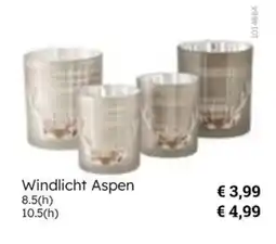 Multi bazar Windlicht Aspen aanbieding