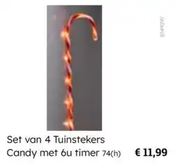 Multi bazar Set van 4 Tuinstekers Candy met 6u timer aanbieding