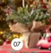 Multi bazar Bessenplant in jute pot aanbieding