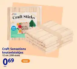 Action Craft Sensations knutselstokjes aanbieding