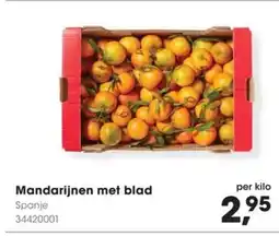Hanos Mandarijnen met blad aanbieding