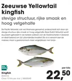 Hanos Kingfish aanbieding