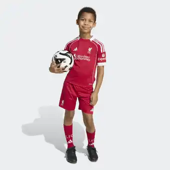 Decathlon Liverpool FC 25/26 Mini-Thuistenue Kids aanbieding