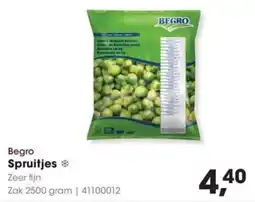 Hanos Begro Spruitjes aanbieding
