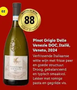 Lidl Pinot Grigio Delle Venezie DOC aanbieding