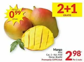 Mango kent