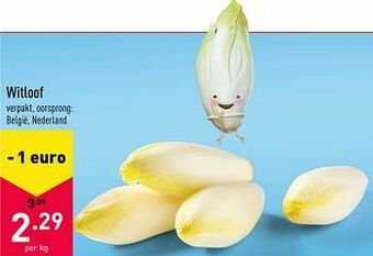 ALDI Witloof aanbieding