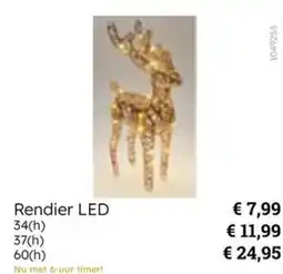 Multi bazar Rendier LED aanbieding