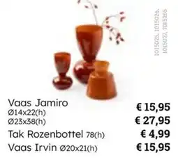 Multi bazar Vaas Jamiro , Tak Rozenbottel, Vaas Irvin aanbieding
