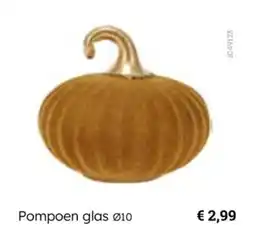 Multi bazar Pompoen glas aanbieding