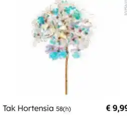 Multi bazar Tak Hortensia aanbieding