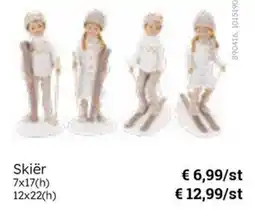 Multi bazar Skiër aanbieding
