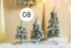 Multi bazar Stam met 3 boompjes aanbieding