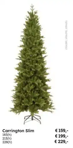 Multi bazar Carrington Slim aanbieding