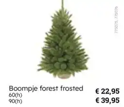 Multi bazar Boompje forest frosted aanbieding
