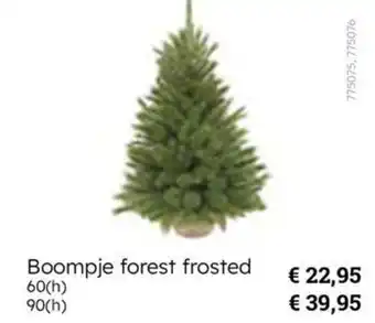Multi bazar Boompje forest frosted aanbieding