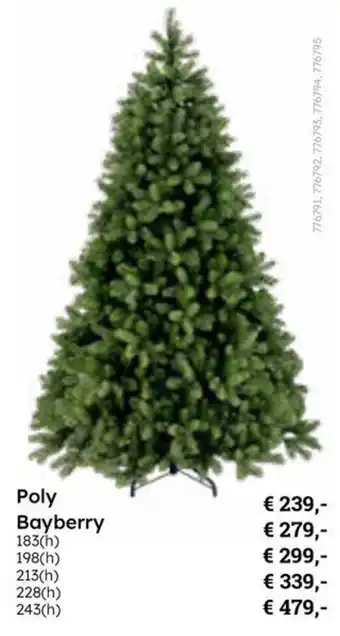 Multi bazar Poly Bayberry aanbieding