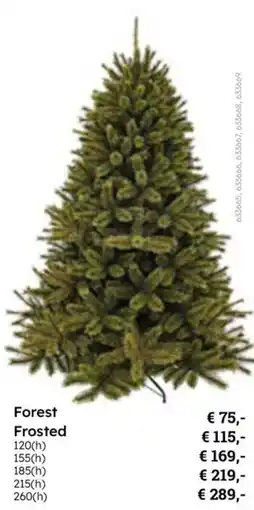 Multi bazar Forest Frosted aanbieding