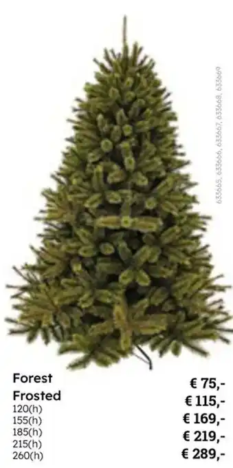 Multi bazar Forest Frosted aanbieding