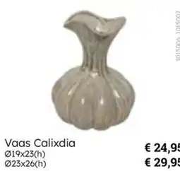 Multi bazar Vaas Calixdia aanbieding