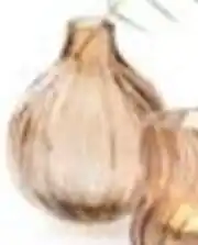 Multi bazar Vaas Elise aanbieding