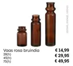 Multi bazar Vaas rosa bruindia aanbieding