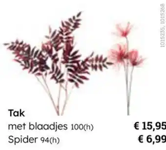 Multi bazar Tak aanbieding