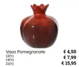 Multi bazar Vaas Pomegranate aanbieding