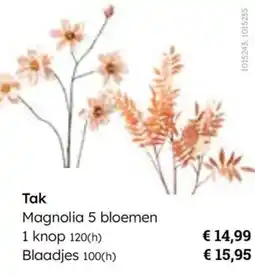 Multi bazar Tak Magnolia 5 bloemen aanbieding