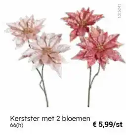 Multi bazar Kerstster met 2 bloemen aanbieding