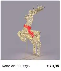 Multi bazar Rendier LED aanbieding