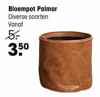 Kwantum Bloempot palmar aanbieding