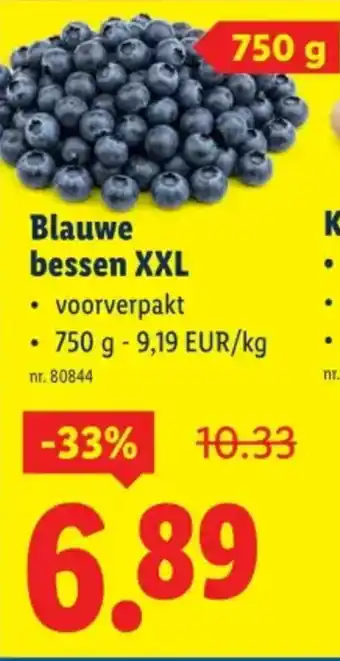 Blauwe bessen XXL