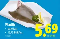 Lidl Pladijs aanbieding