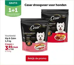 AVEVE Kip & Zalm 1,4 kg aanbieding