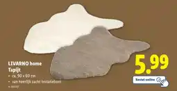 Lidl Livarno Home Tapijt aanbieding