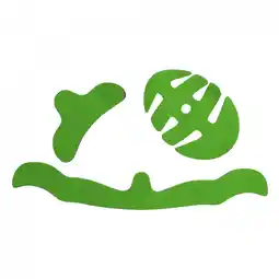 Decathlon TSG VOLWASSENEN HELMBESCHERMERSET DC GROEN L (GROEN) 75044-50-007 aanbieding