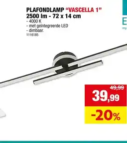 Hubo PLAFONDLAMP VASCELLA 1 aanbieding