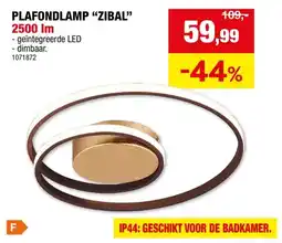 Hubo PLAFONDLAMP ZIBAL aanbieding