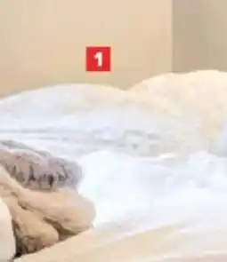 Carrefour Dekbedovertrek + 1 sloop aanbieding