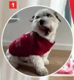 Carrefour Kersttrui voor Honden aanbieding