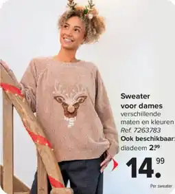 Carrefour Sweater voor Dames aanbieding