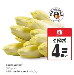Jumbo Jumbo witloof aanbieding