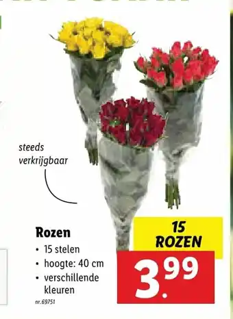 Lidl Rozen hoogte 40 cm aanbieding