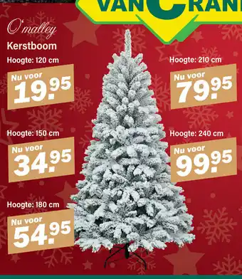 Kerstboom