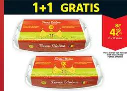 Cora Ferme Dinima Verse eieren van hennen met vrije uitloop. aanbieding