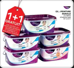 Brico Deco Mode Peinture Murale aanbieding