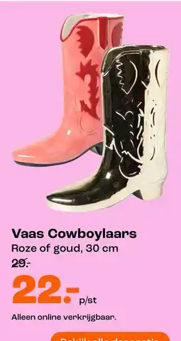 Kwantum Vaas Cowboylaars aanbieding